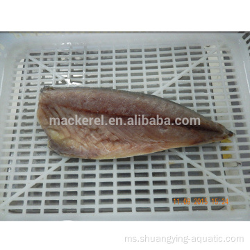 Ketibaan baru Fillet Mackerel Ikan untuk Borong